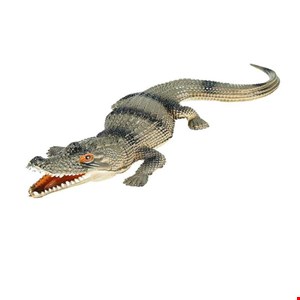 ابزار شوخی مدل تمساح خاکستری