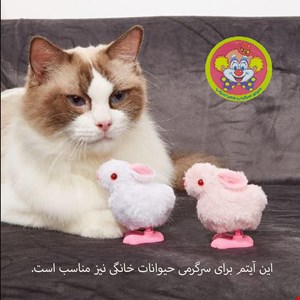  اسباب بازی کوکی مدل خرگوش گوش دراز