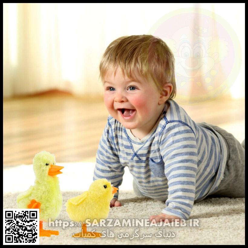 جوجه غاز کوکی