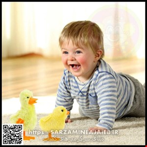 اسباب بازی کوکی دنیای سرگرمی های کمیاب مدل جوجه غاز 