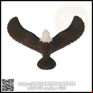  عقاب تعادلی سرگرمی جالب برای بازی تعادلی و یک دکوری جالب برای ماشین و منزل