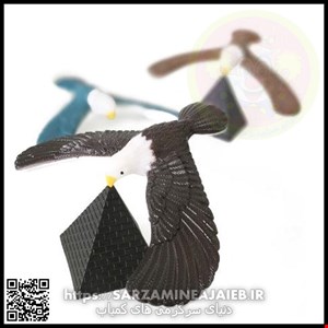 عقاب تعادلی سرگرمی جالب برای بازی تعادلی و یک دکوری جالب برای ماشین و منزل