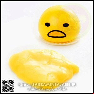  فیجت دنیای سرگرمی های کمیاب مدل تخم مرغ تهوع