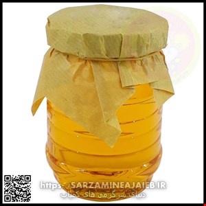 ژل بازی دنیای سرگرمی های کمیاب مدل اسلایم عسلی