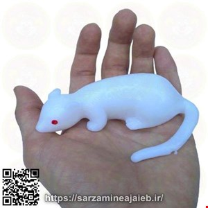  موش چندش
