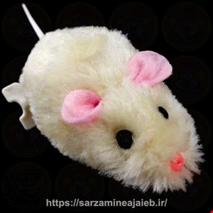 ابزار شوخی دنیای سرگرمی های کمیاب مدل موش کوکی صحرایی