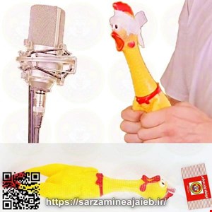  مرغ جیغ کش شوخی 