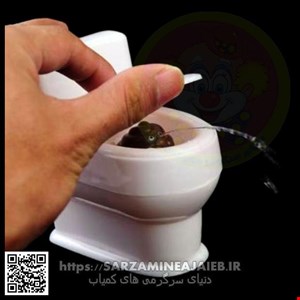  توالت شوخی