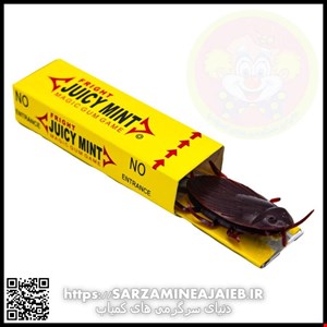 ابزار شوخی دنیای سرگرمی های کمیاب طرح آدامس سوسکی