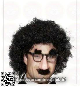 عینک سیبیل دار