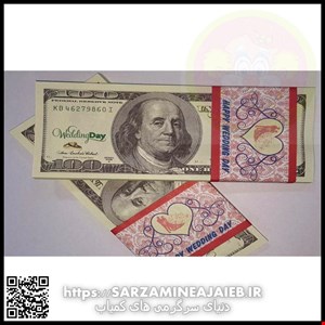  اسکناس دلار قلابی