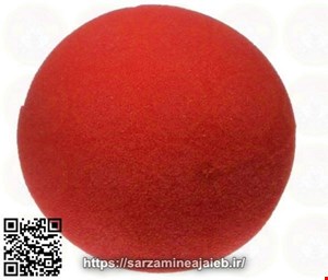  جنس اسفنجی